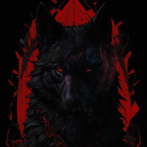 iiBlackWolfx