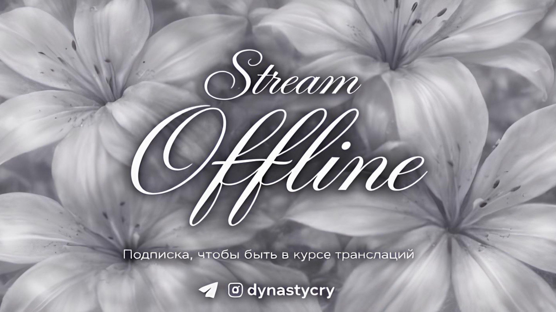 dynastycry Offline Background