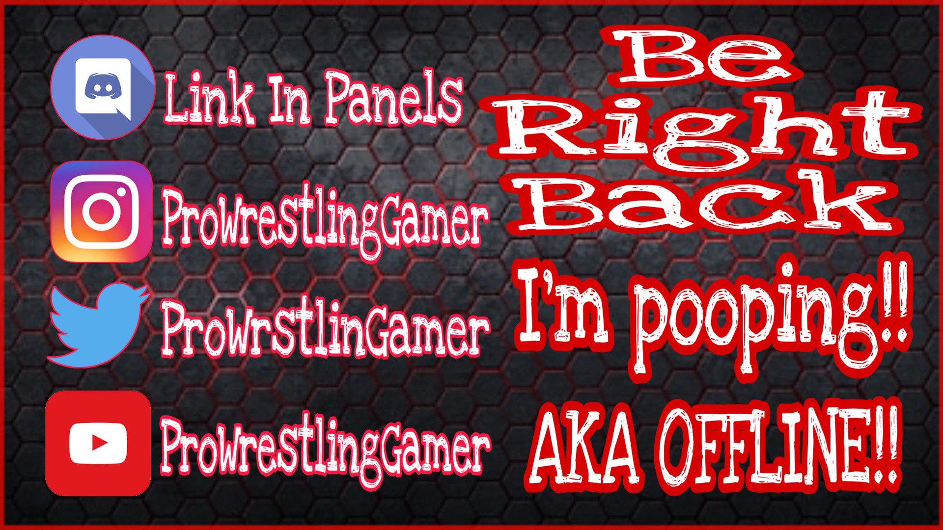 ProWrestlingGamer Offline Background