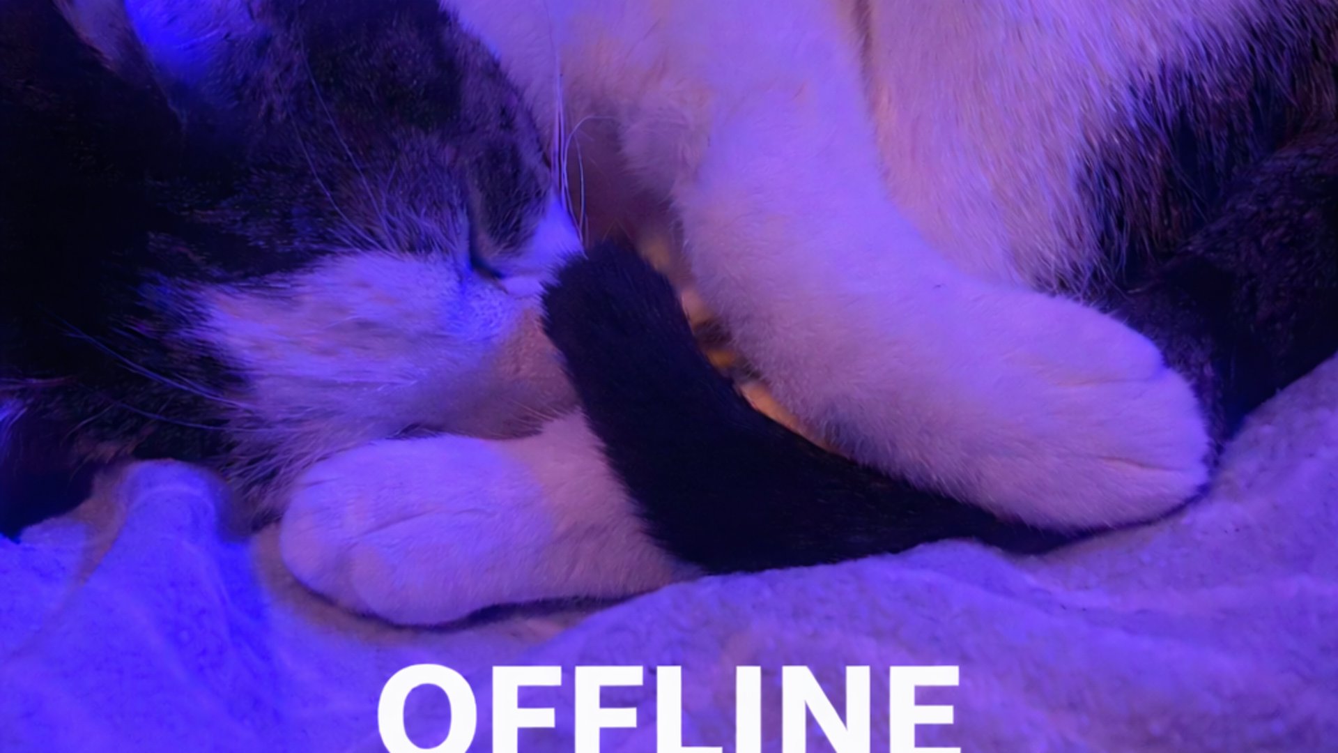 maridejong Offline Background