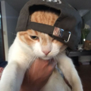 hakobpo
