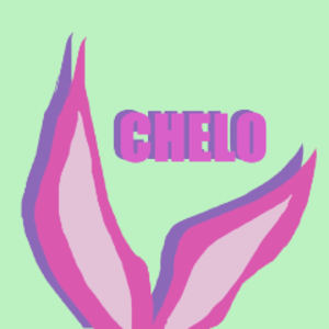 chelo0o0