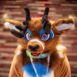 Tis_Buck
