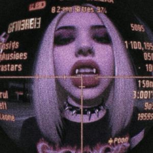 toxicfakerr