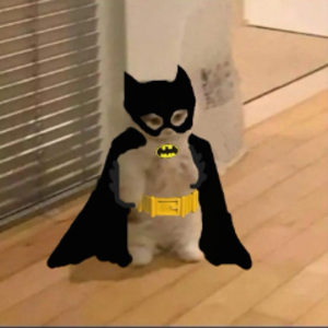 batmanhavinfun Offline Background