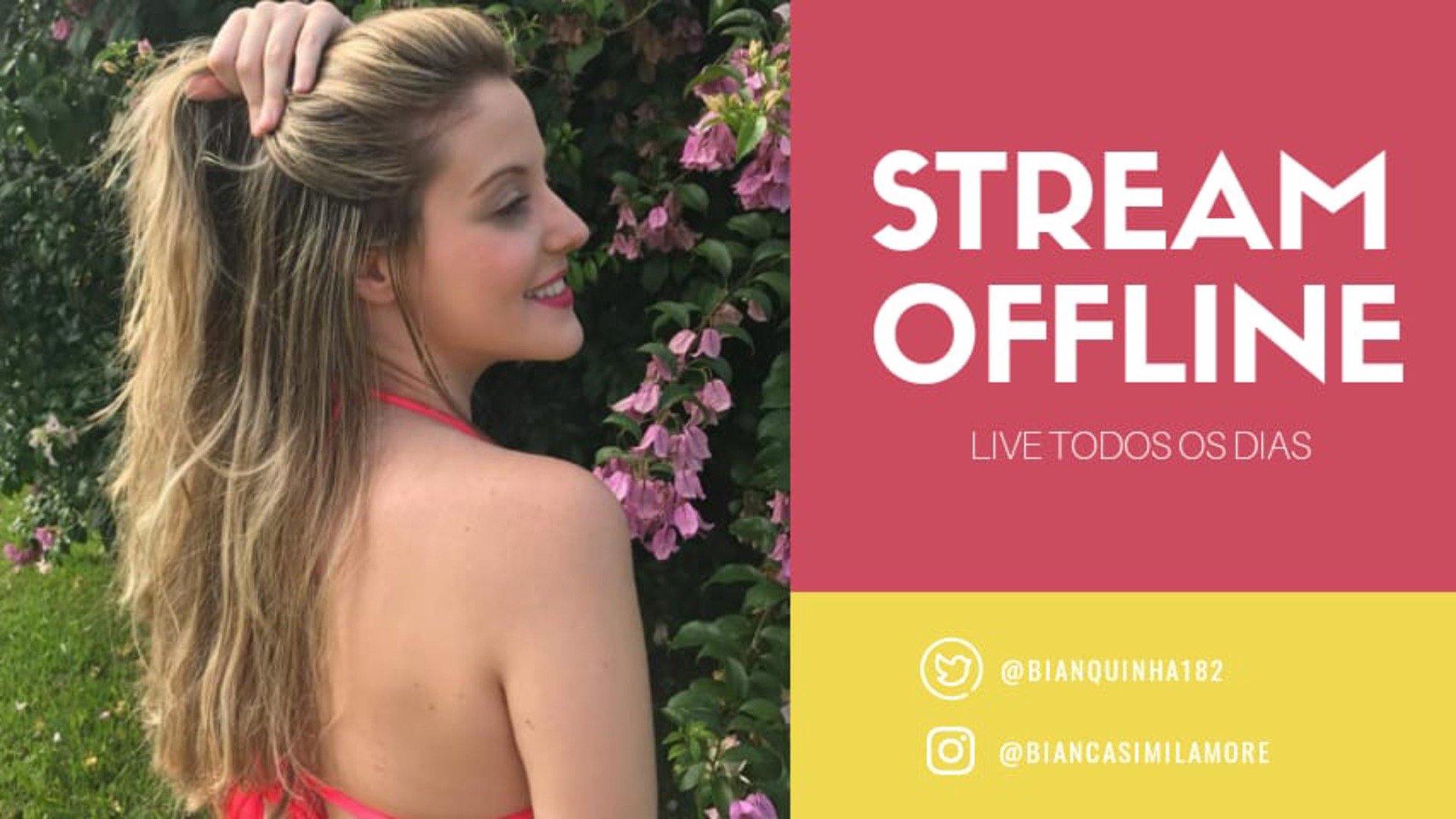 bianquinha182 Offline Background