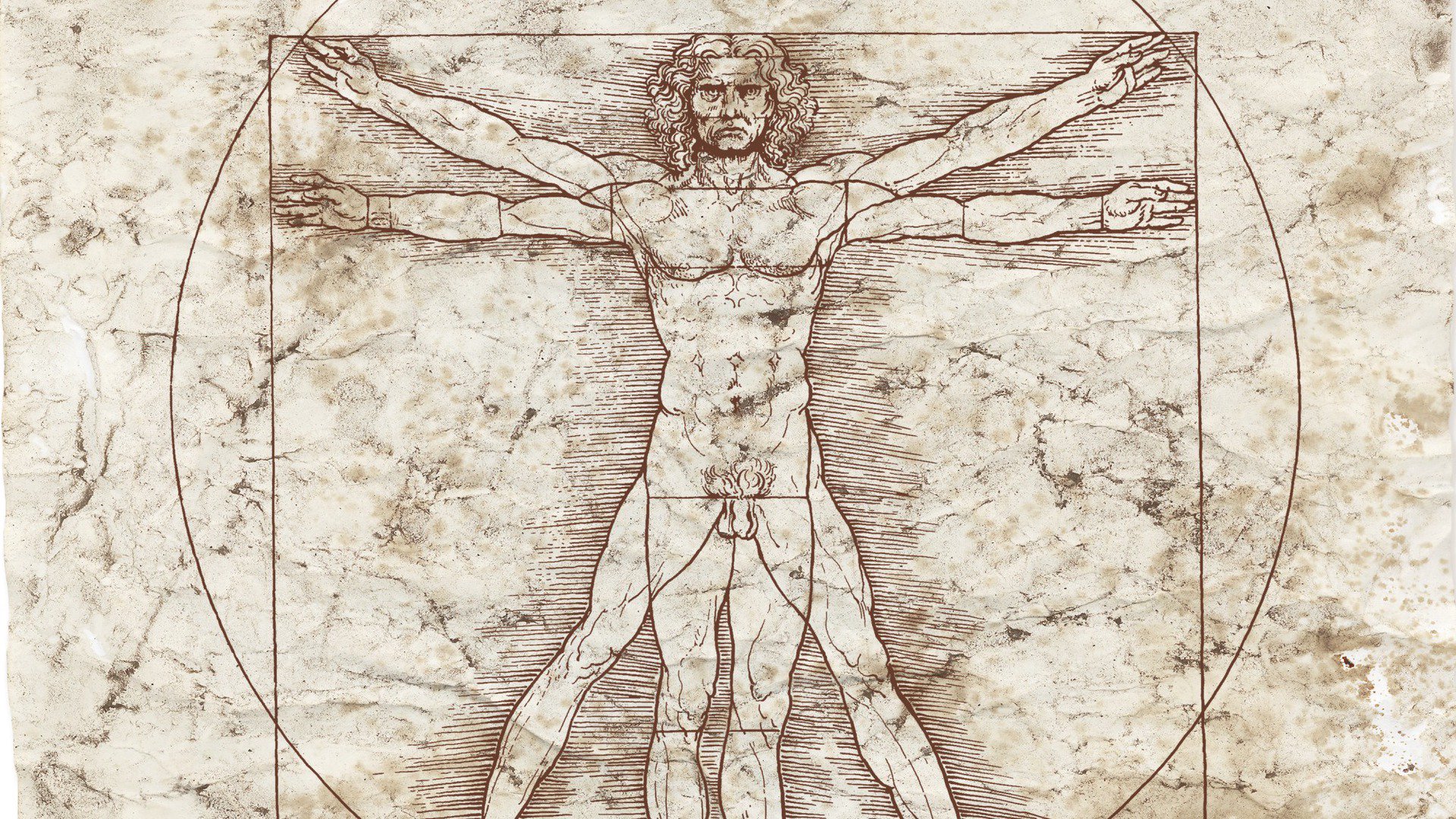 daVinczis Offline Background