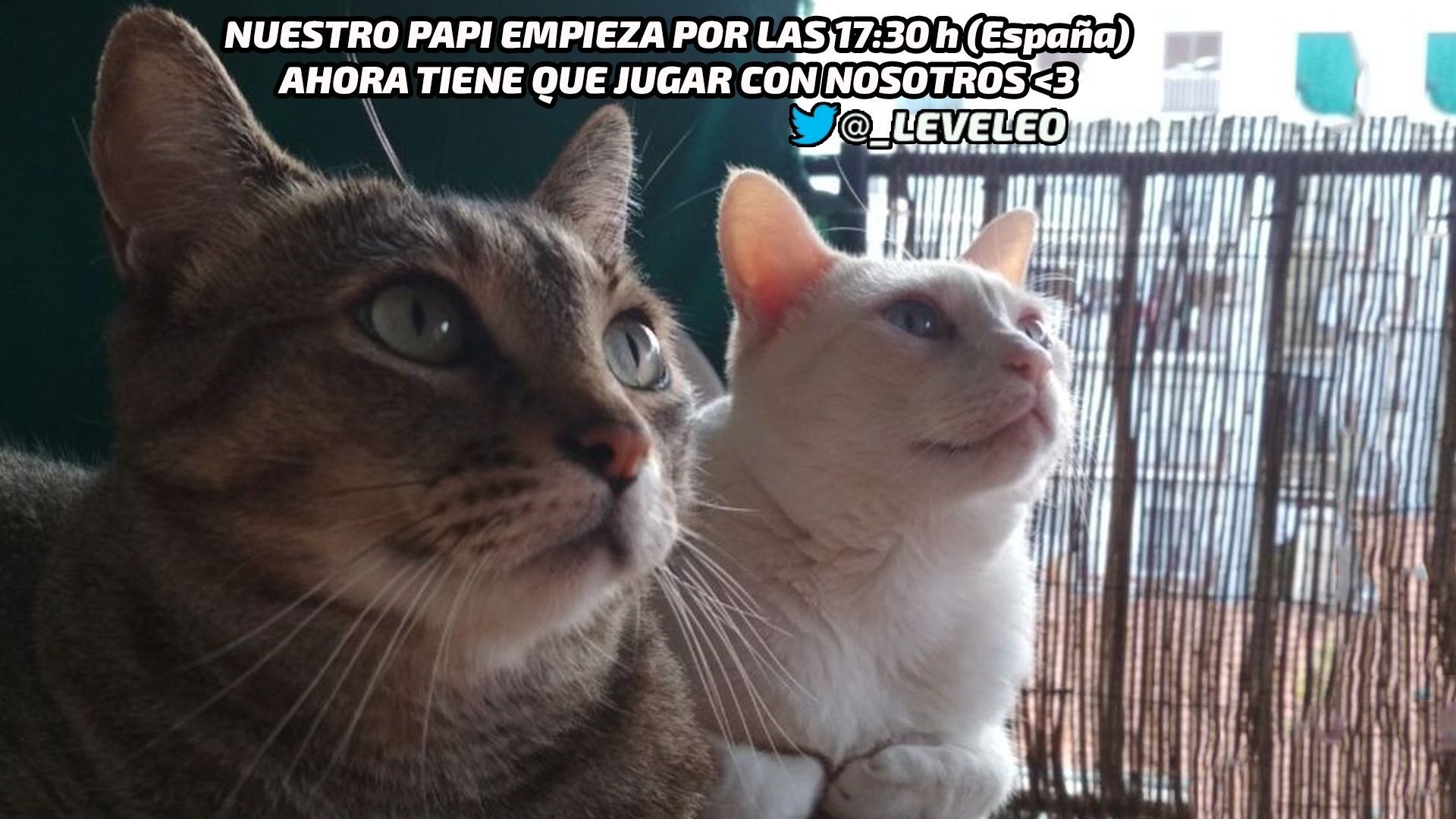 LeveLEO Offline Background