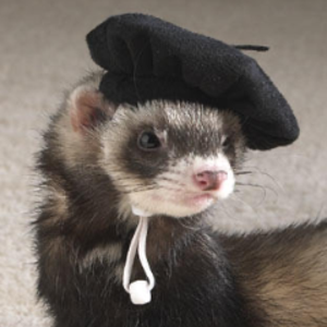 El_Ferrit0