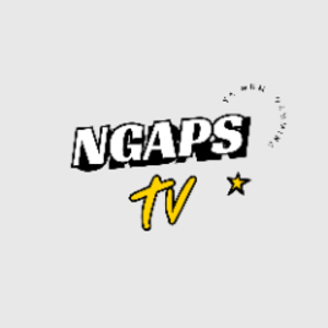 ngaps213456