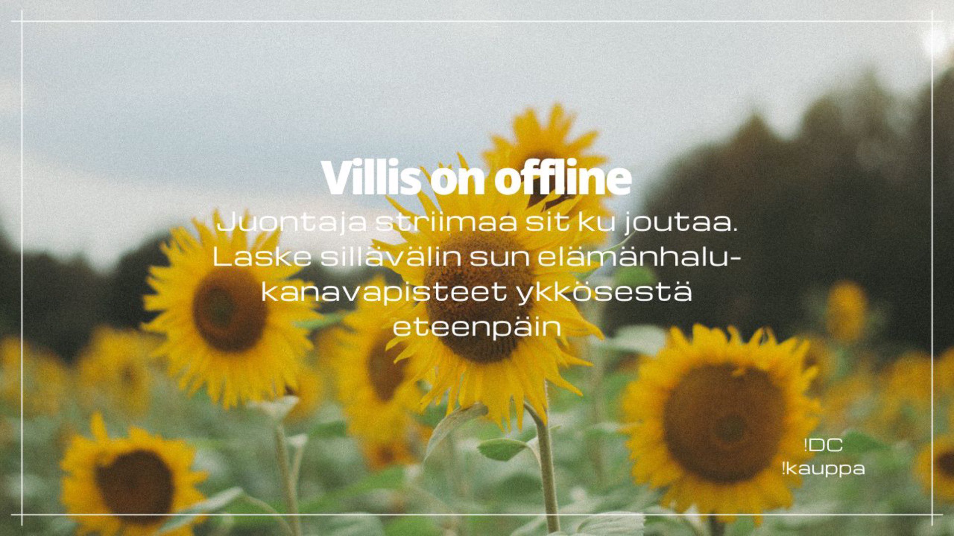 kissavillapaita Offline Background