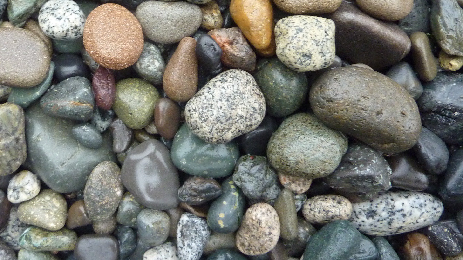 SteveThePetRock Offline Background