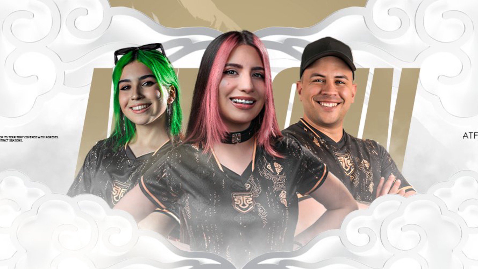 FusionFSgg Offline Background
