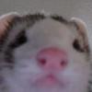 froxantu