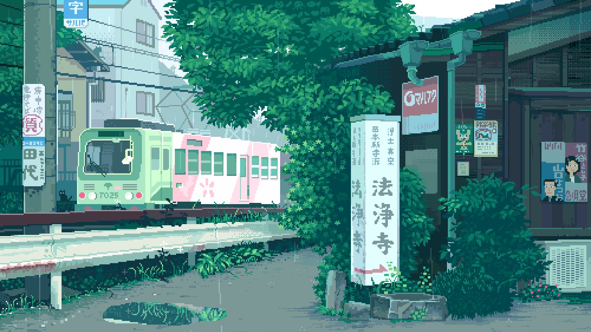 WoiramCards Offline Background