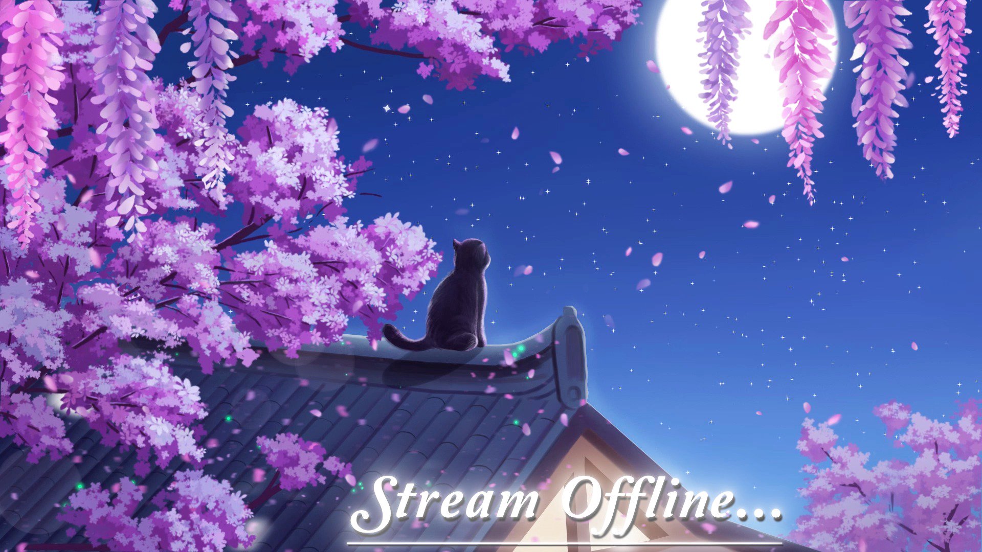 WillehBum Offline Background
