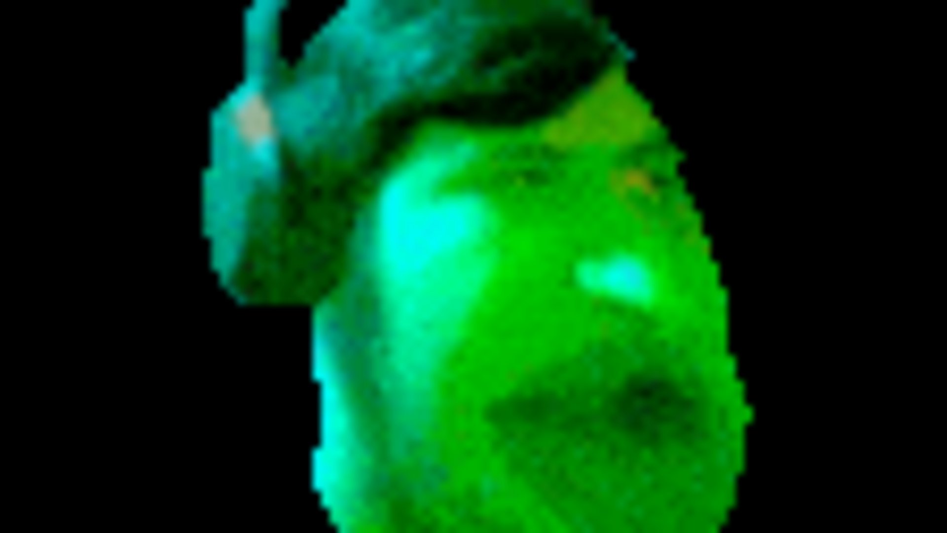 I_Gnome_Him Offline Background