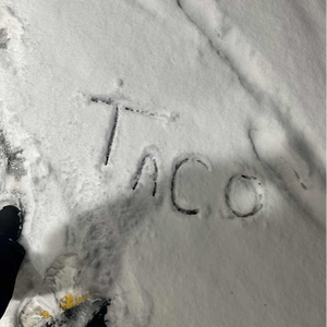 taco182_ttv