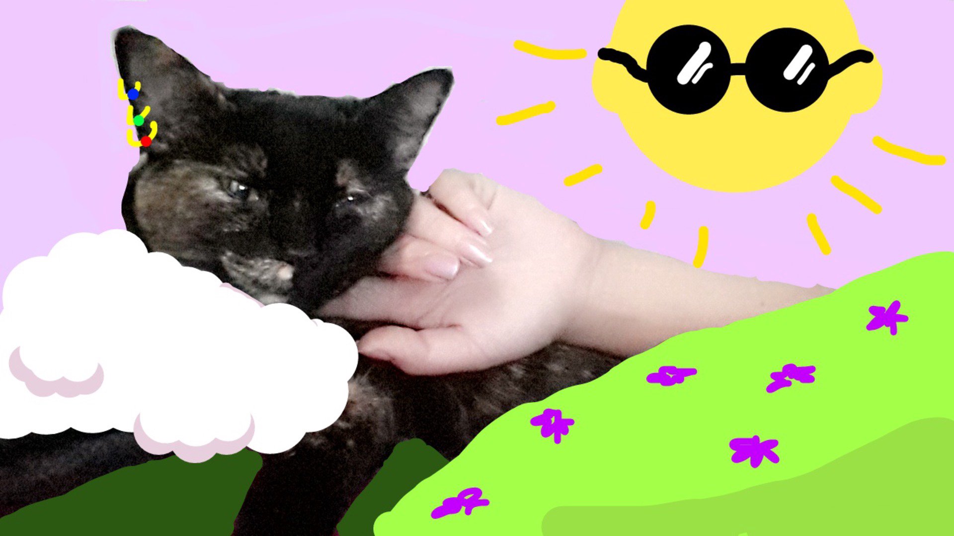 rsgf Offline Background