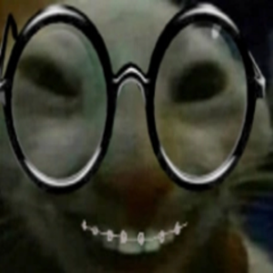 donilool
