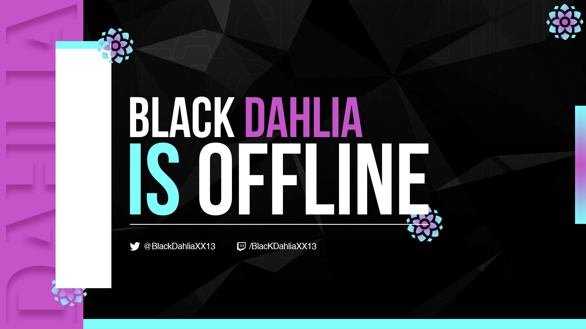 BlackDahlia Offline Background