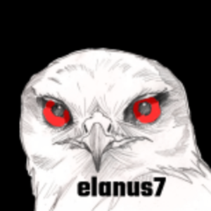 elanus7
