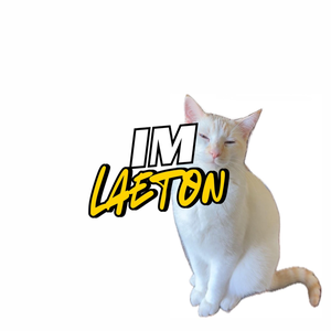 imlaeton