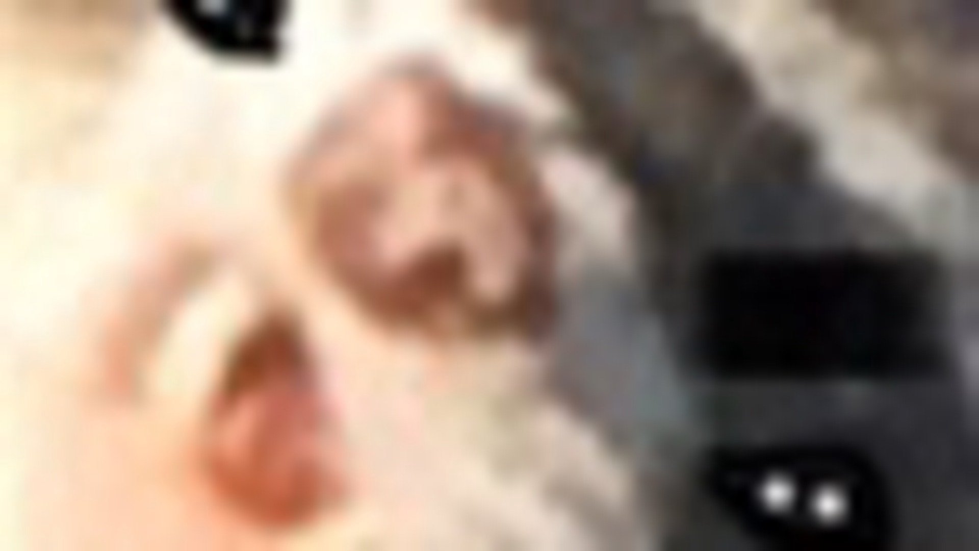 Caleb_BoiVT Offline Background