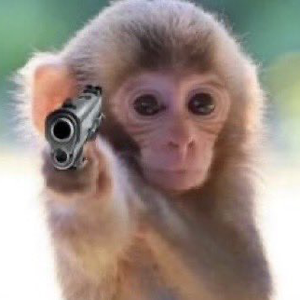 Pistolus