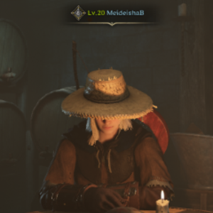 MeideishaB