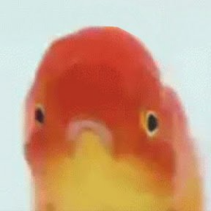 sabioreal