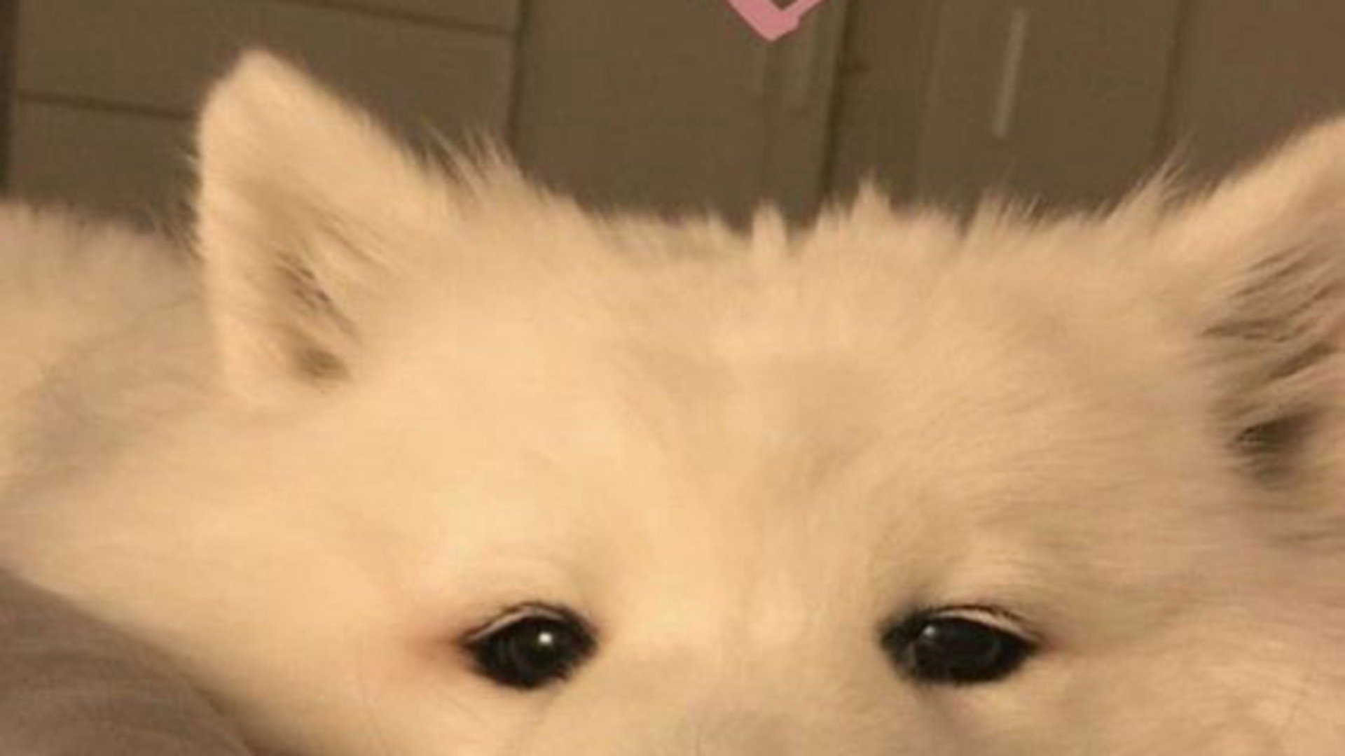 kaizuwu1 Offline Background