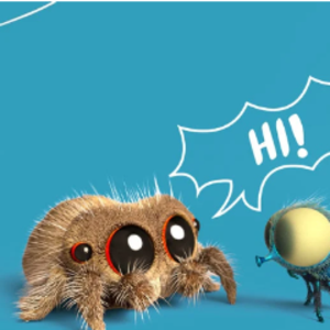 Spider18tes