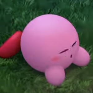 _きくらげ_