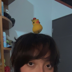 gisel_li
