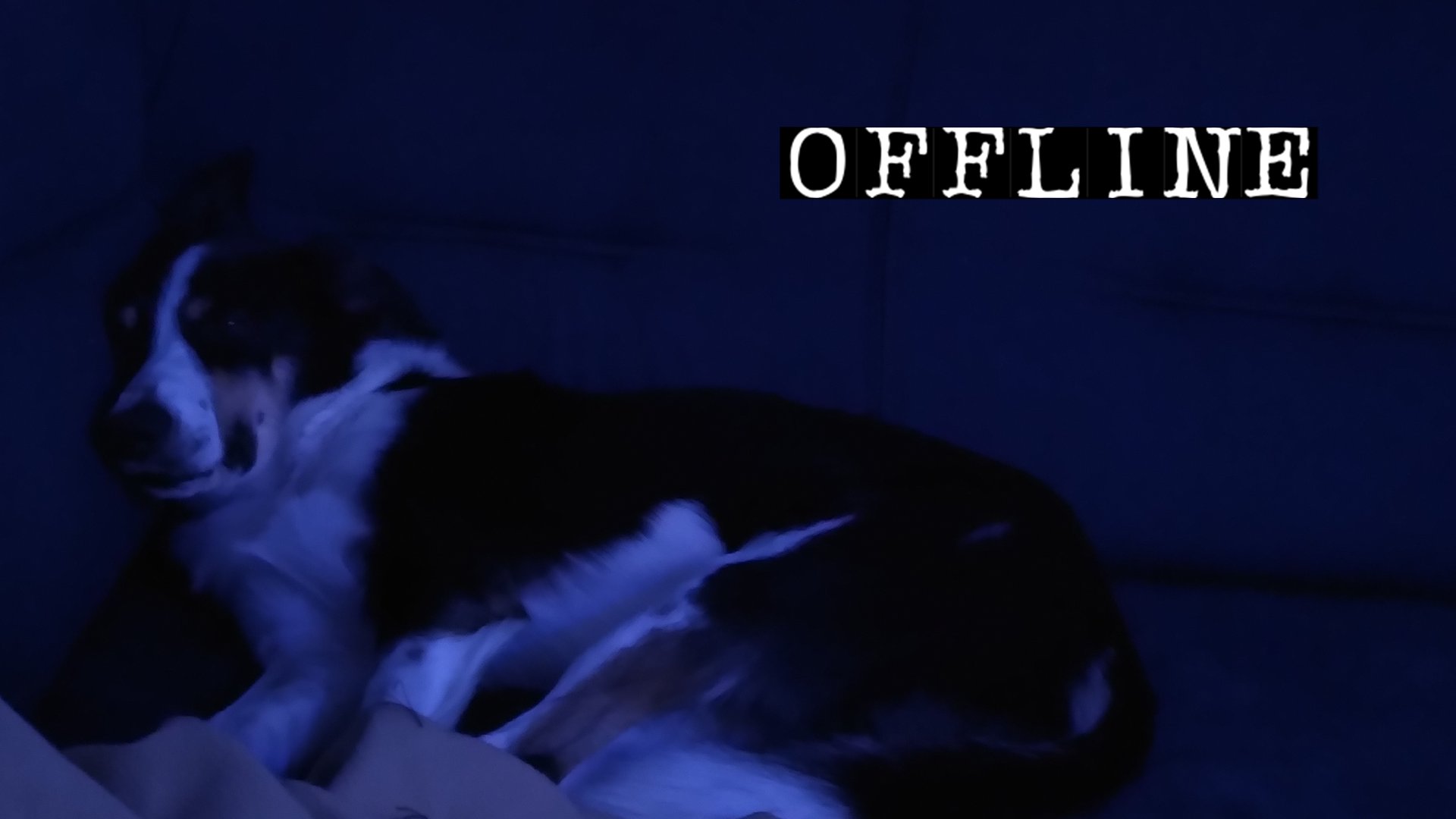 GerardSurLeNet Offline Background