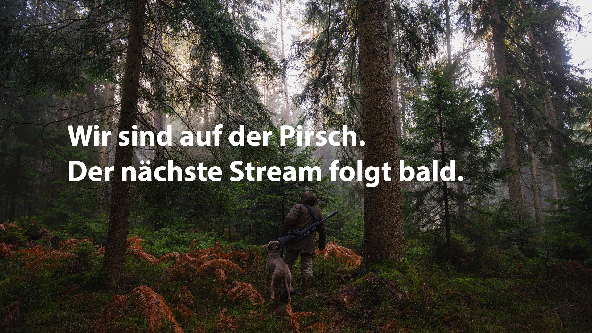 HampelJagd Offline Background