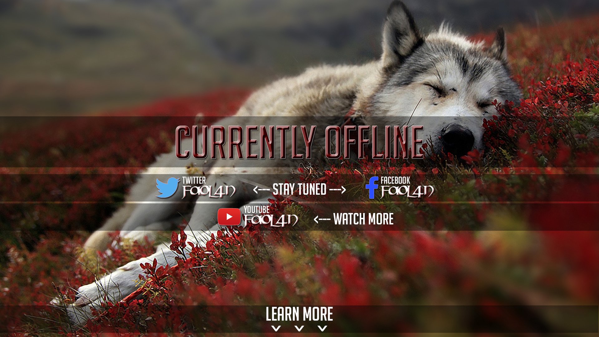 Faol4n Offline Background