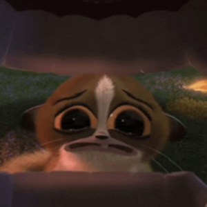 giadraz