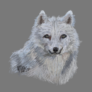 excludedwolf668