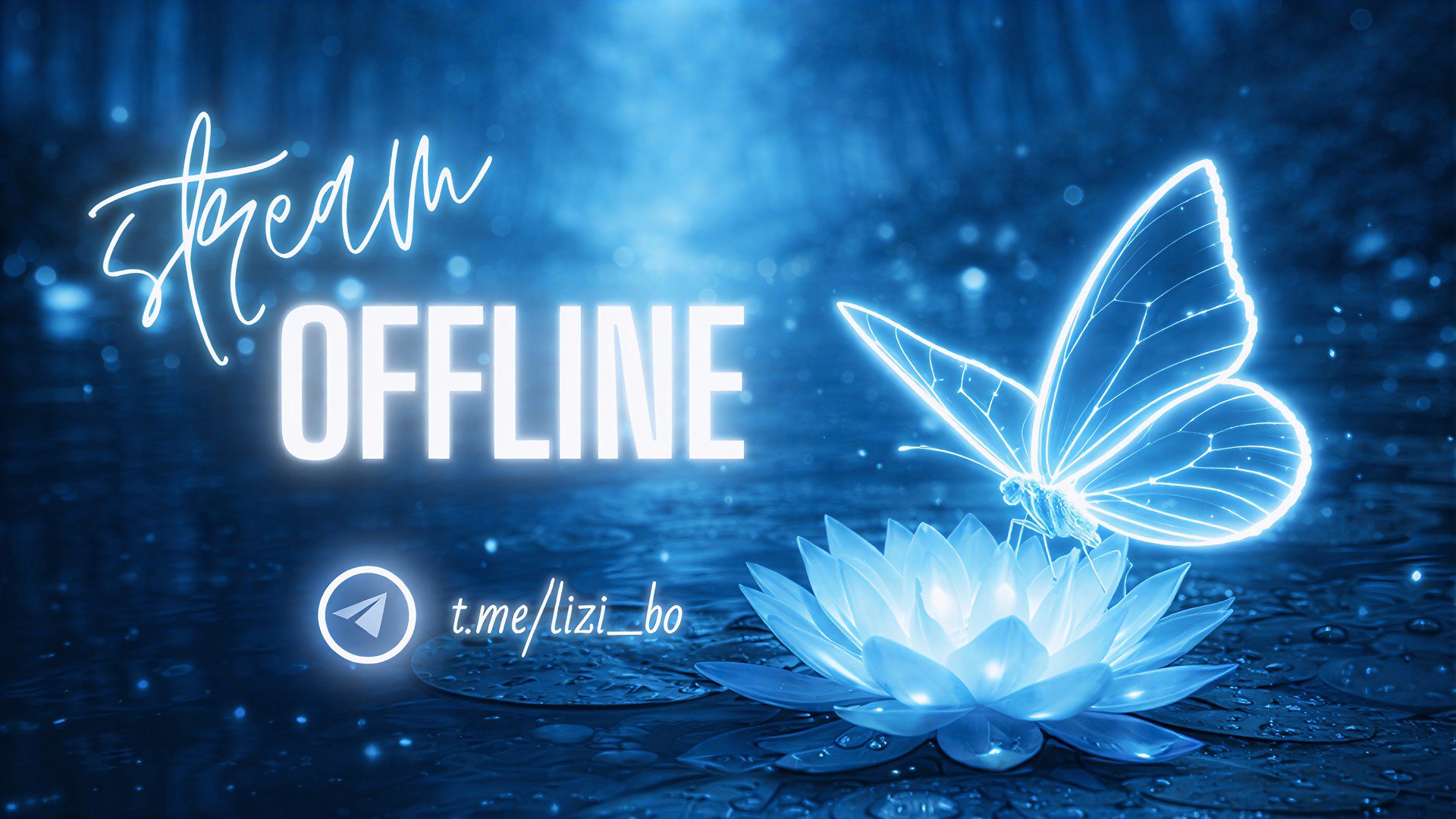 lizi_bo Offline Background
