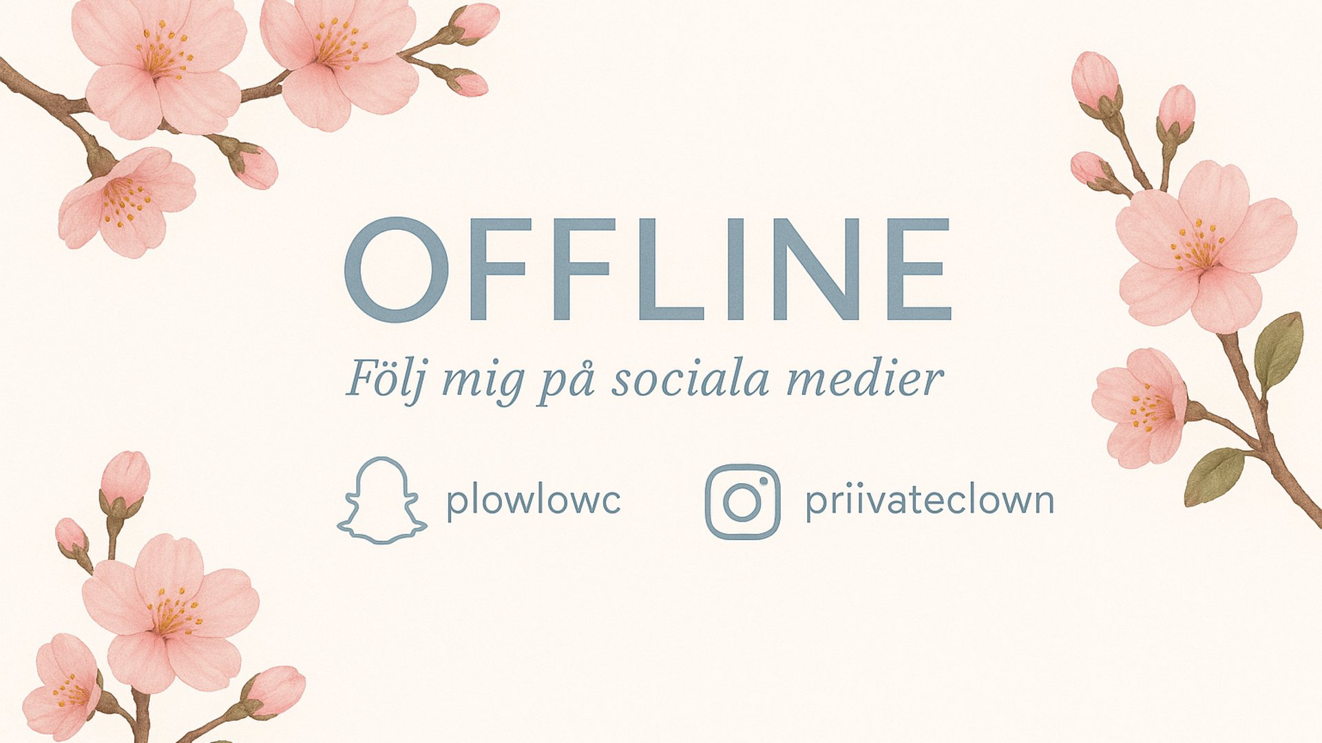 priivateclown Offline Background