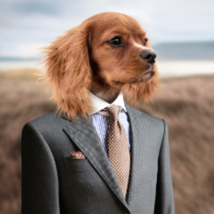 _犬_犬_