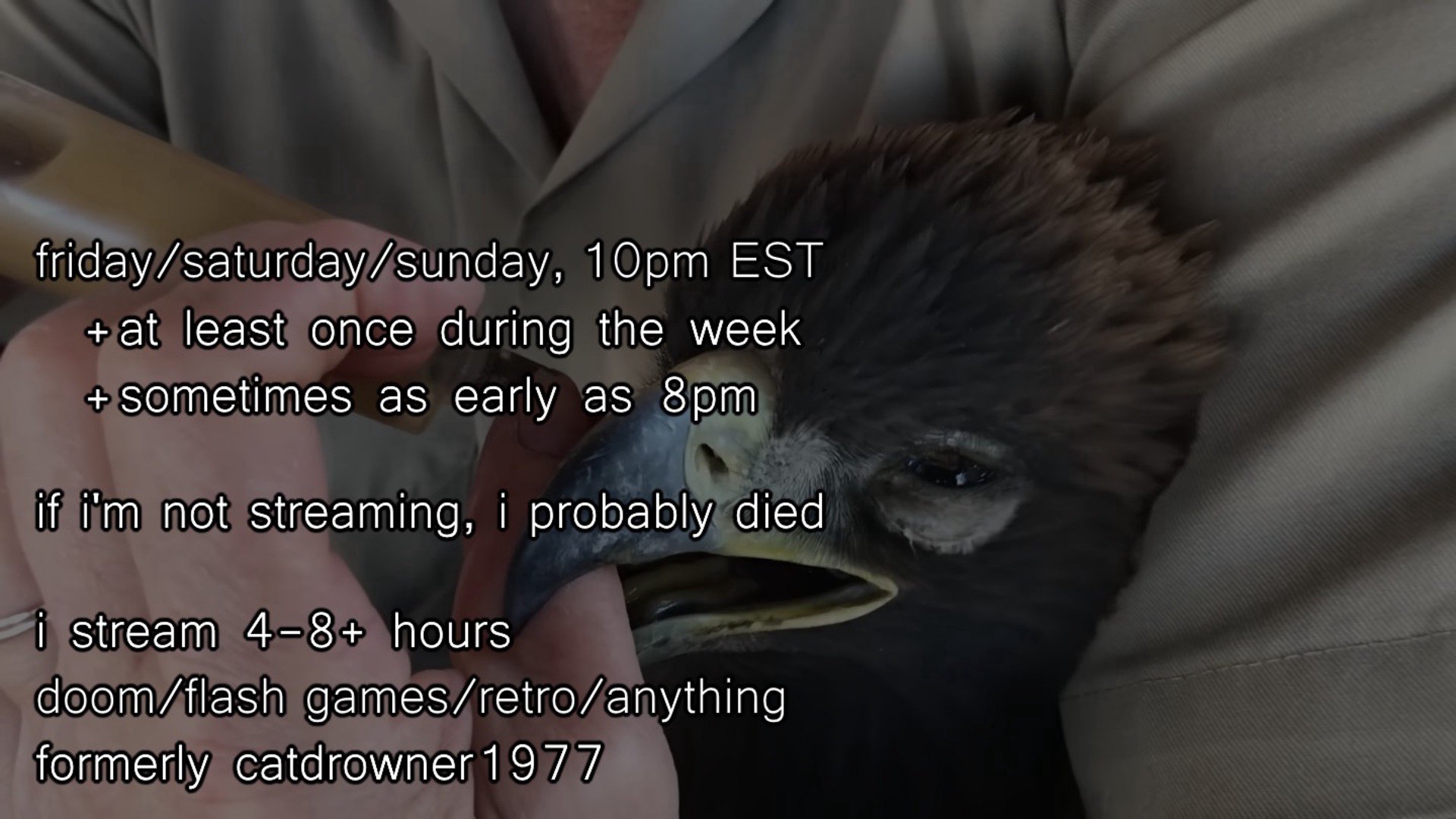 epicbird_ Offline Background