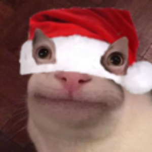 spidget1