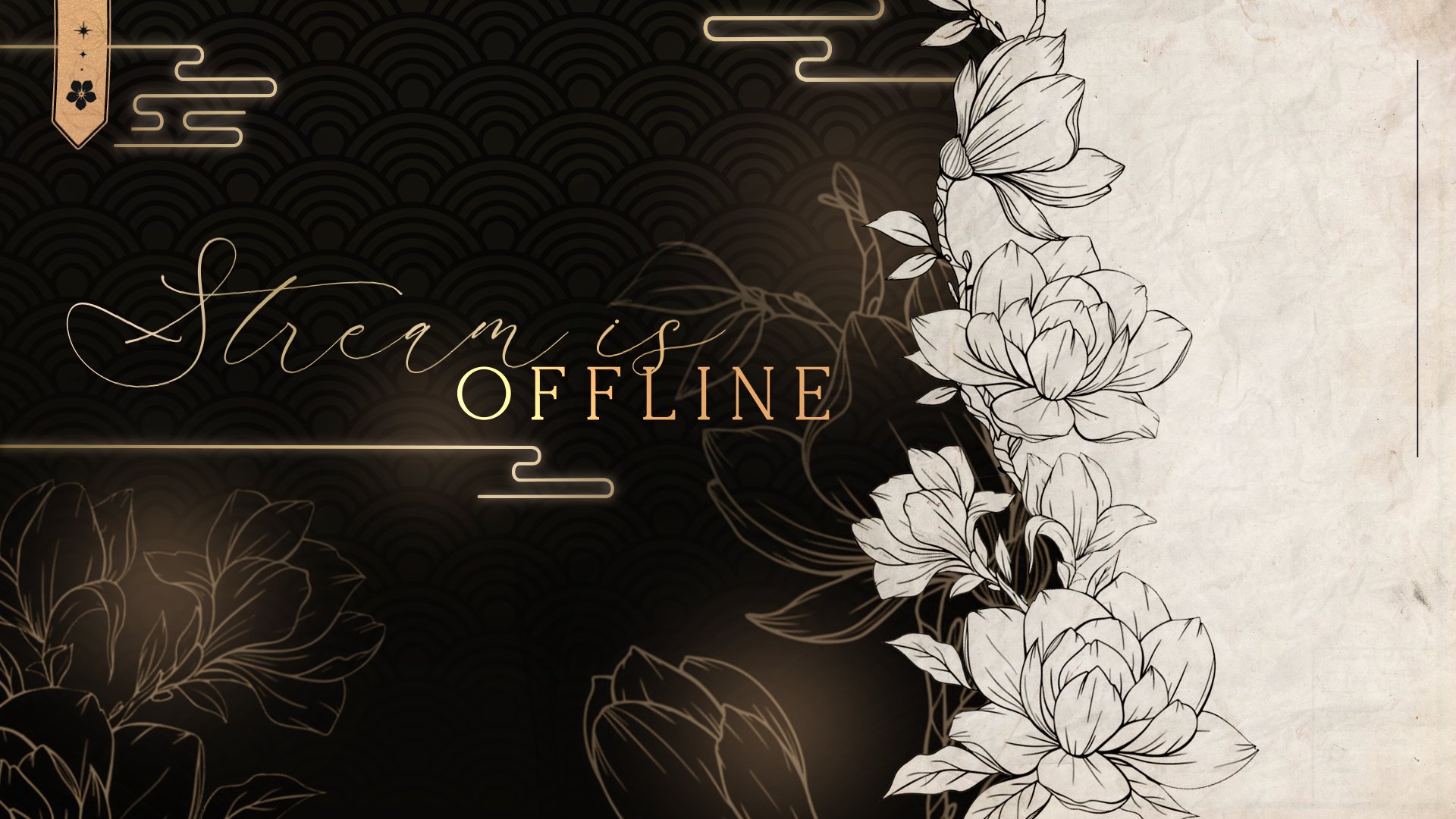 Sebbiie_ Offline Background