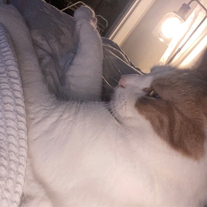 stinkytoast1