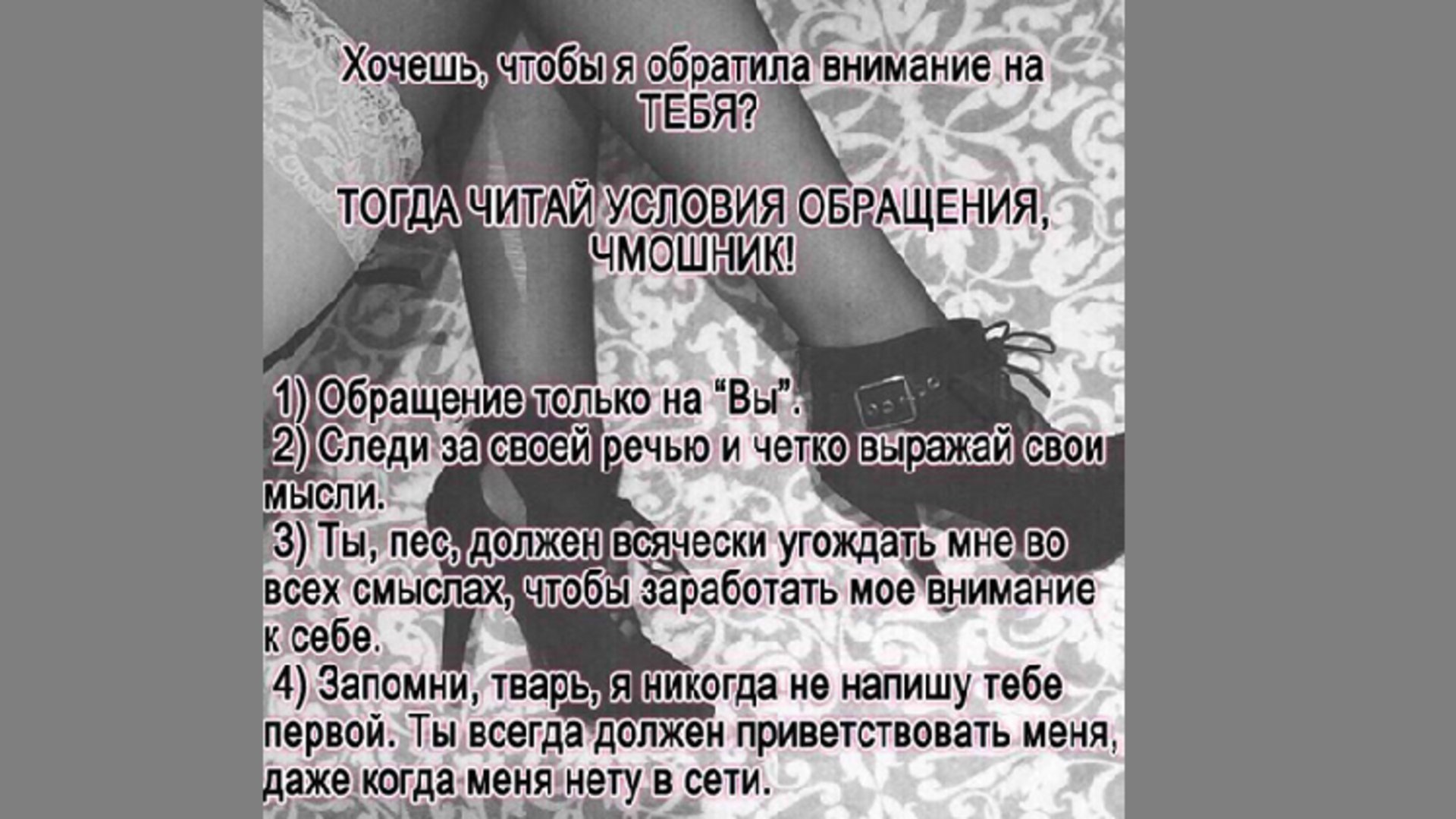poill Offline Background