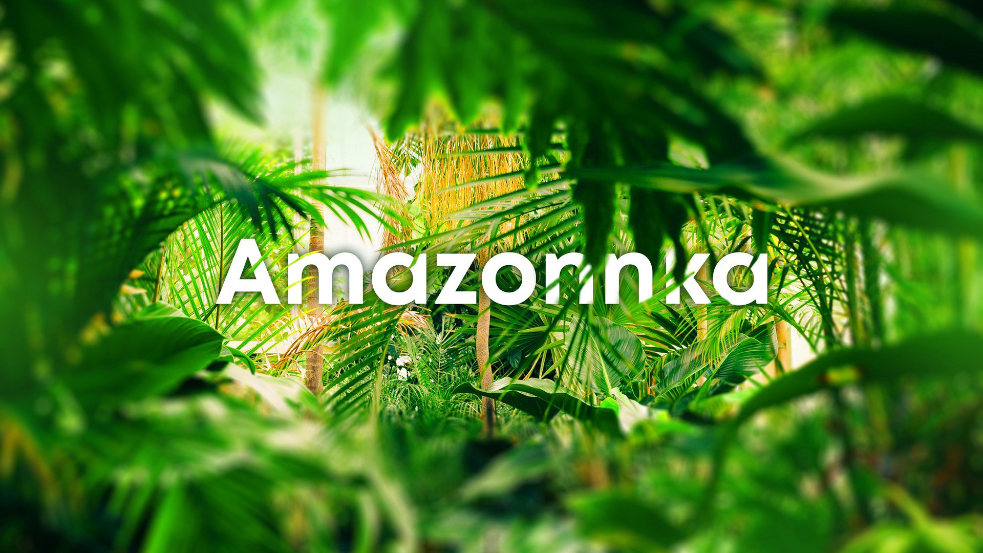 Amazonnka Offline Background