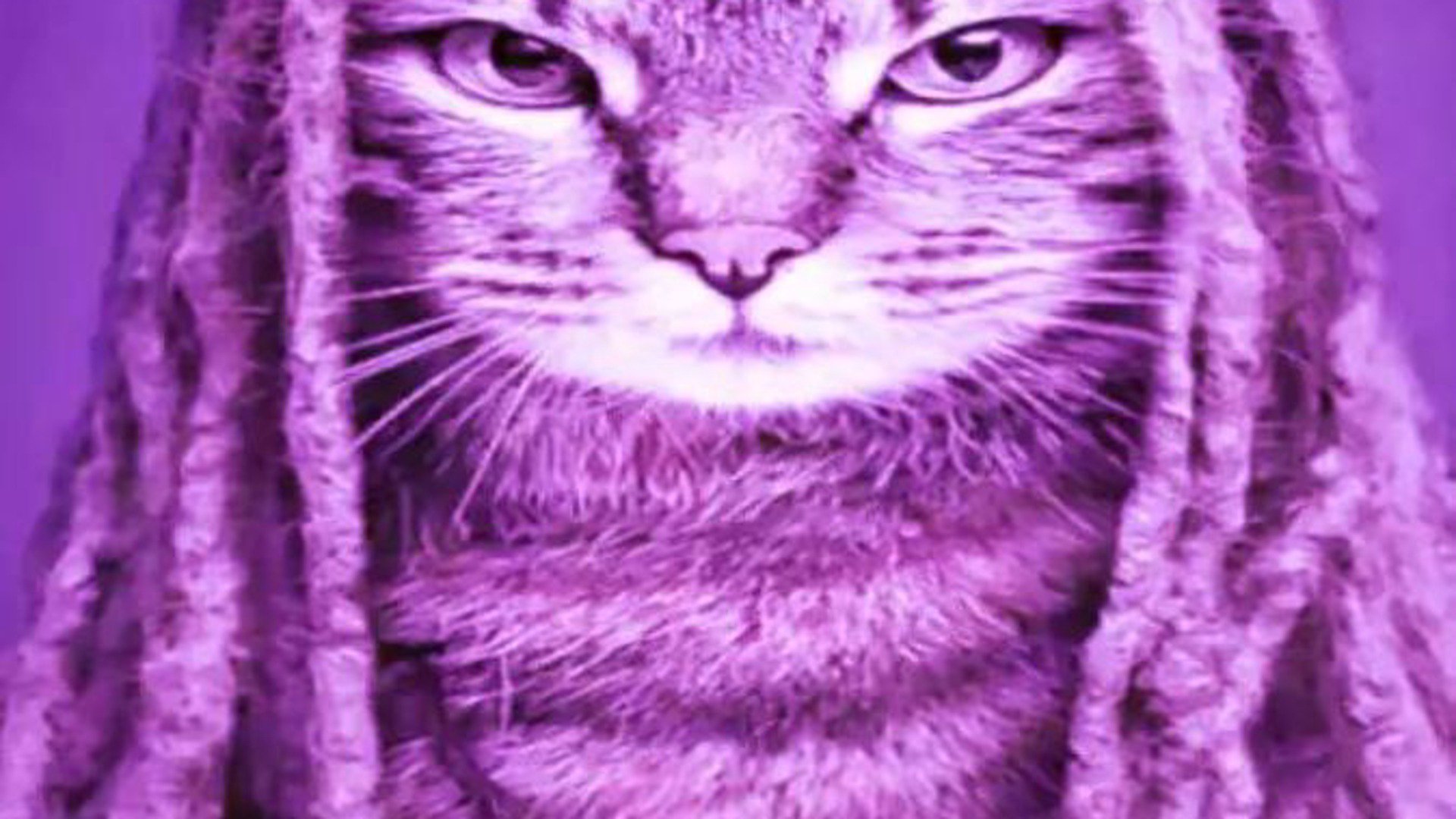 asasikof Offline Background